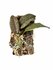 Psychopsis papilio on cork_